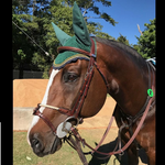 Equipe Rawhide Hanoverian Bridle -  Equipe