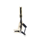 Kentucky Halter - Sheepskin -  Saddleworld P/L