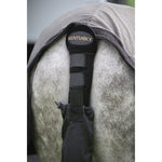 Kentucky Tail Guard -  Kentucky