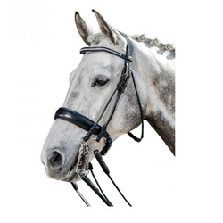 Prestige E135 Sport Double Bridle -  Saddleworld P/L