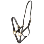 Zilco 3/4" PN Halter -  Zilco
